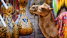 Along the road of ancient caravans
